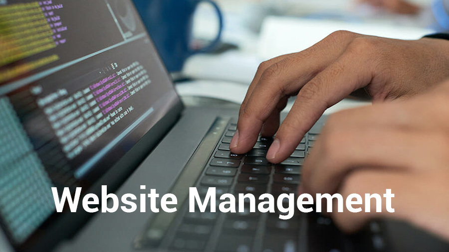 What Is Website Management