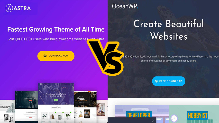 Astra vs OceanWP | Which WordPress Theme is Better?